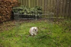 Beeztees Konijnenren Verzinkt 6 Panelen -Dierbenodigdheden Serie Winkel 0275606 sfeer1