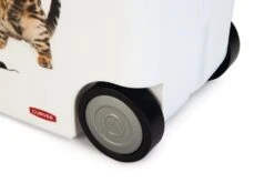 Curver Voedselcontainer Kat 35 Ltr -Dierbenodigdheden Serie Winkel 0412026 det5