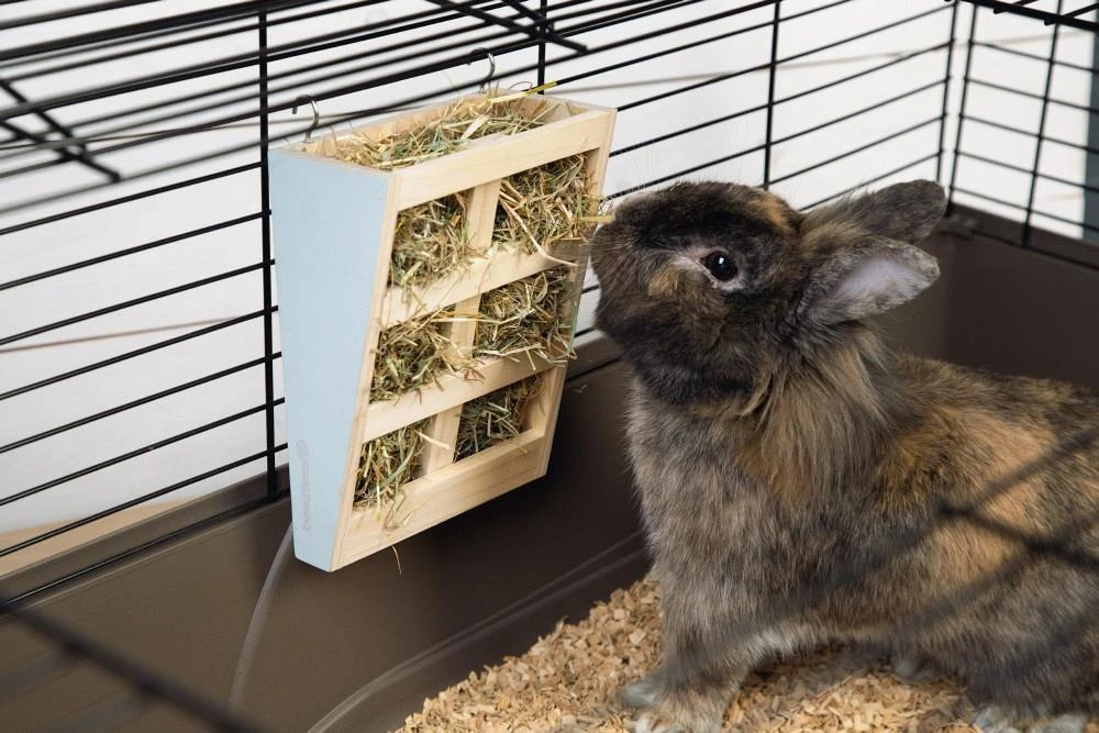 Beeztees houten hooiruif Rima mint Beeztees Houten Hooiruif Rima Mint -Dierbenodigdheden Serie Winkel 0811111 sfeer1