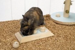 Beeztees Braingame Ballira Mint 4 Beeztees Braingame Ballira Mint -Dierbenodigdheden Serie Winkel 0811115 sfeer1