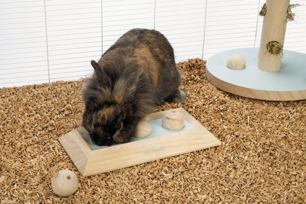 Beeztees braingame Ballira mint Beeztees Braingame Ballira Mint -Dierbenodigdheden Serie Winkel 0811115 sfeer1