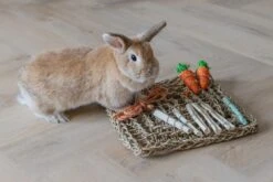 Beeztees Knaagdierspeelmat Nature 4 Beeztees Knaagdierspeelmat Nature -Dierbenodigdheden Serie Winkel 0811182 sfeer2