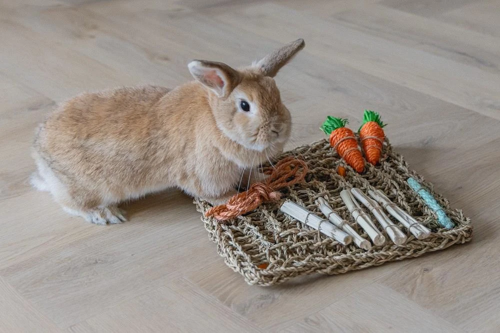 Beeztees Knaagdierspeelmat Nature Beeztees Knaagdierspeelmat Nature -Dierbenodigdheden Serie Winkel 0811182 sfeer2