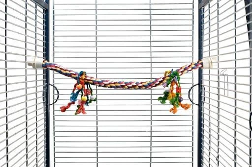 Beeztees Katoenen Papegaaien Zitstok Met Gekleurde Speeltjes.