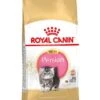 Royal Canin Kattenvoer Persian Kitten 10 Kg -Dierbenodigdheden Serie Winkel 3182550721233