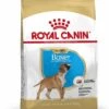 Royal Canin Hondenvoer Boxer Puppy 3 Kg -Dierbenodigdheden Serie Winkel 3182550743938