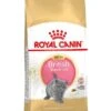 Royal Canin Kattenvoer British Shorthair Kitten 10 Kg 1 Royal Canin Kattenvoer British Shorthair Kitten 10 Kg -Dierbenodigdheden Serie Winkel 3182550816540
