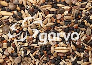 Garvo Wildzangzaad 20 kg Garvo Wildzangzaad 20 Kg -Dierbenodigdheden Serie Winkel 5345 wildzangzaad