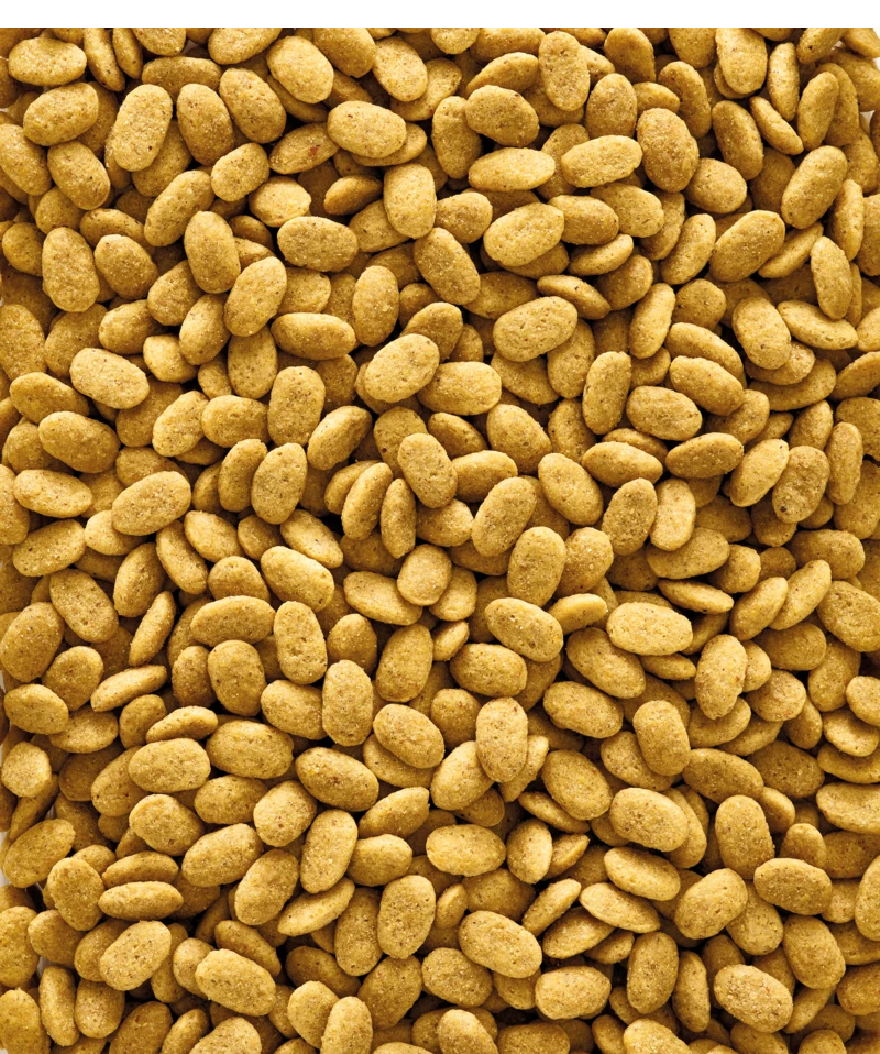 Versele-Laga NutriBird P15 Original 10 kg Versele-Laga NutriBird P15 Original 10 Kg -Dierbenodigdheden Serie Winkel 5410340221273 1