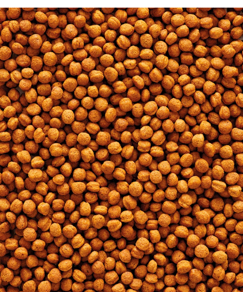 Versele-Laga NutriBird T16 10 kg Versele-Laga NutriBird T16 10 Kg -Dierbenodigdheden Serie Winkel 5410340221341 1