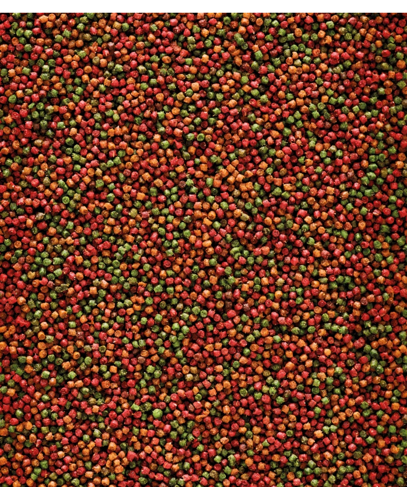 Versele-Laga NutriBird Uni Komplet 3 kg Versele-Laga NutriBird Uni Komplet 3 Kg -Dierbenodigdheden Serie Winkel 5410340221457 1