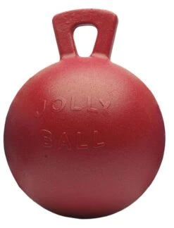 Jolly Ball Geurloos 25 Cm 5 Jolly Ball Geurloos 25 Cm -Dierbenodigdheden Serie Winkel 7252