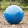 QHP Paardenvoetbal Blauw 80 - 100 Cm -Dierbenodigdheden Serie Winkel 8005bl 2 1