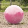 QHP Paardenvoetbal Roze 80 - 100 Cm