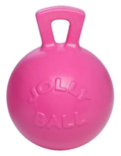 Jolly Ball Met Geur 25 Cm -Dierbenodigdheden Serie Winkel 8170