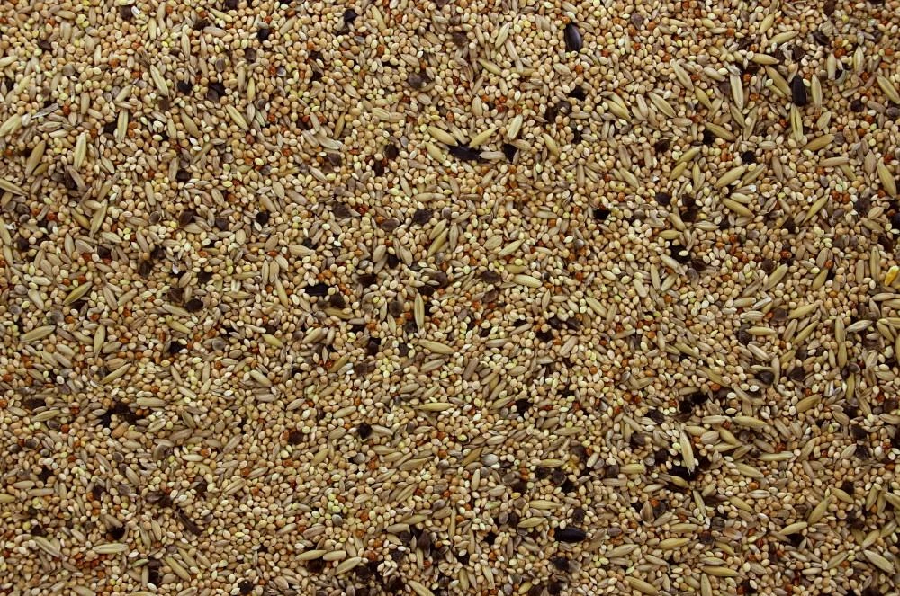 Agapornis - Grote Parkiet zonder Zonnepitten 5 kg Agapornis - Grote Parkiet Zonder Zonnepitten 5 Kg -Dierbenodigdheden Serie Winkel 8715207090298 3