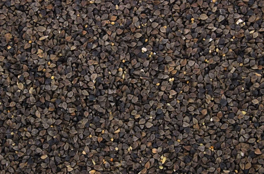 Boekweit 20 kg Boekweit 20 Kg -Dierbenodigdheden Serie Winkel 8715207100713 2