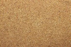 Milletzaad Geel 20 Kg -Dierbenodigdheden Serie Winkel 8715207101123 2