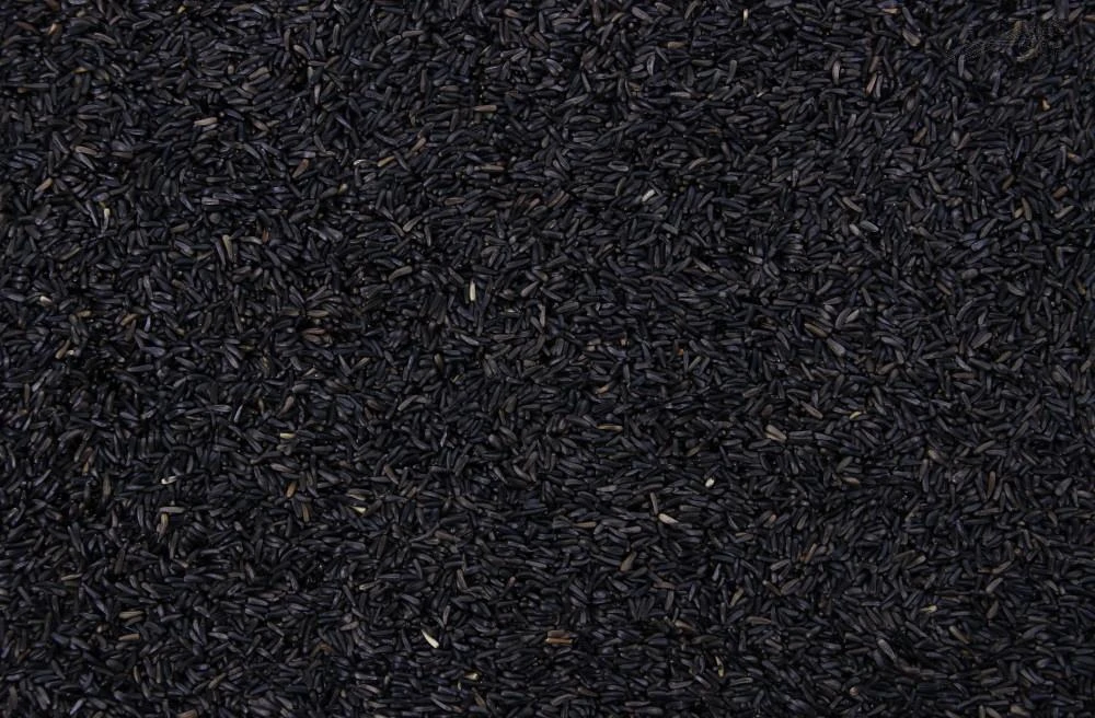 Nigerzaad 17,5 kg Nigerzaad 17,5 Kg -Dierbenodigdheden Serie Winkel 8715207101505 2