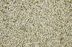 Safloorpitten - Kardizaad 17,5 Kg 4 Safloorpitten - Kardizaad 17,5 Kg -Dierbenodigdheden Serie Winkel 8715207102311 2