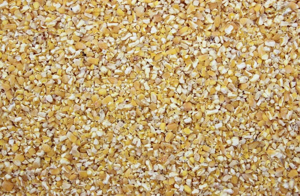 Mais Franse Gebroken 20 kg Mais Franse Gebroken 20 Kg -Dierbenodigdheden Serie Winkel 8715207201236 2