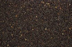 Wikken 20 Kg -Dierbenodigdheden Serie Winkel 8715207201717 2