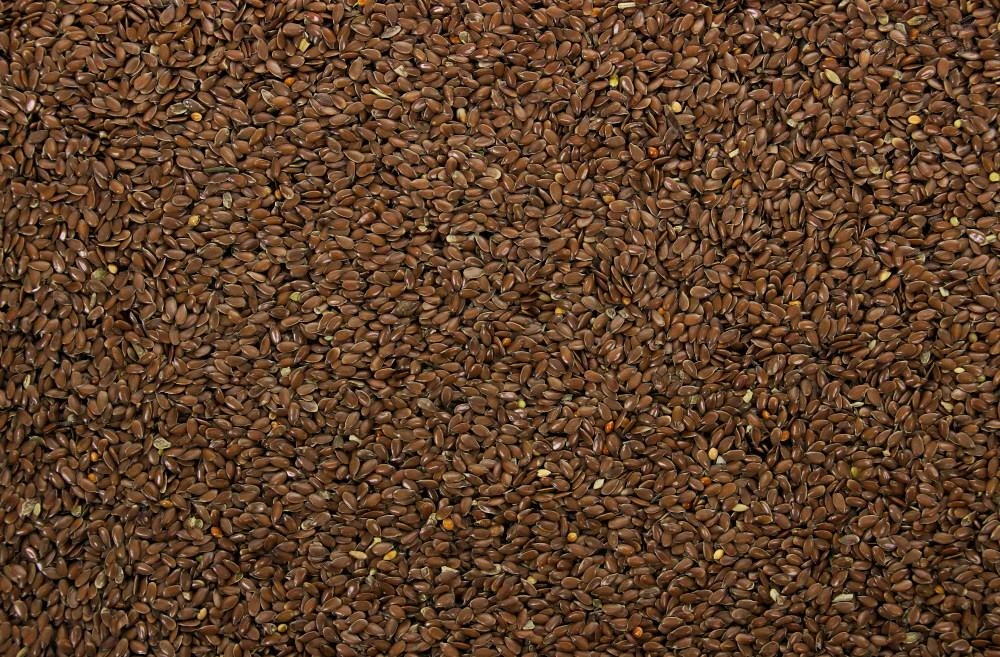 Lijnzaad Bruin 4,5 kg Lijnzaad Bruin 4,5 Kg -Dierbenodigdheden Serie Winkel 8715207901358 3