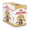 Royal Canin Kattenvoer Maine Coon Adult 12 X 85 Gr -Dierbenodigdheden Serie Winkel 9003579001202