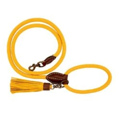 Dog With A Mission Hondenlijn Bibi