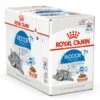 Royal Canin Kattenvoer Indoor 7+ In Gravy 12 X 85 Gr -Dierbenodigdheden Serie Winkel Indoor 7 in Gravy Closed Box