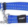 Rogz Beltz Utility Sliphalsband Blue -Dierbenodigdheden Serie Winkel RHC11BDET0