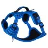 Rogz Hondentuig Explore Blue -Dierbenodigdheden Serie Winkel RSJX14B DET0
