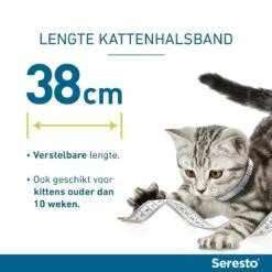 Seresto Band Voor Katten -Dierbenodigdheden Serie Winkel Seresto kat lengte