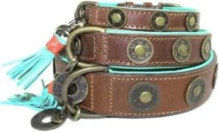 Dog With A Mission Halsband Urban