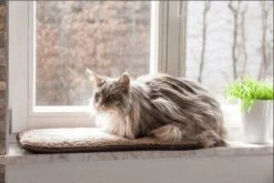 Petlando Windowchiller Stone 3 Petlando Windowchiller Stone -Dierbenodigdheden Serie Winkel WIndowchiller