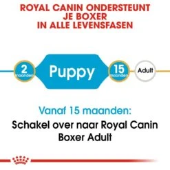 Royal Canin Hondenvoer Boxer Puppy 3 Kg 5 Royal Canin Hondenvoer Boxer Puppy 3 Kg -Dierbenodigdheden Serie Winkel royal canin boxer junior pup hond boxer hero image 9
