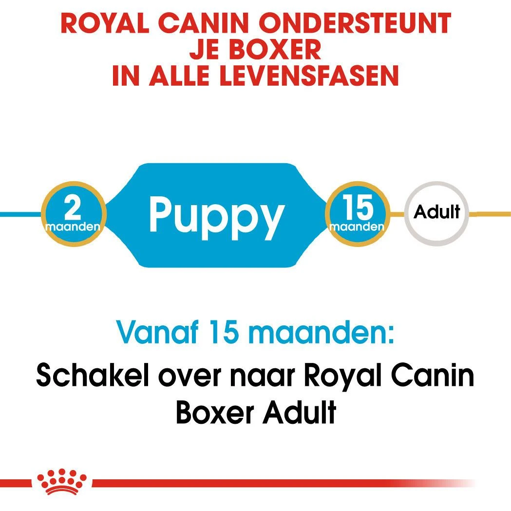 Royal Canin hondenvoer Boxer Puppy 3 kg Royal Canin Hondenvoer Boxer Puppy 3 Kg -Dierbenodigdheden Serie Winkel royal canin boxer junior pup hond boxer hero image 9