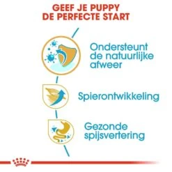 Royal Canin Hondenvoer Boxer Puppy 3 Kg 4 Royal Canin Hondenvoer Boxer Puppy 3 Kg -Dierbenodigdheden Serie Winkel royal canin boxer junior pup hond boxer hero usp