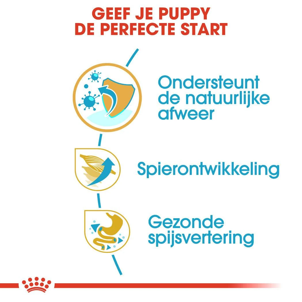 Royal Canin hondenvoer Boxer Puppy 3 kg Royal Canin Hondenvoer Boxer Puppy 3 Kg -Dierbenodigdheden Serie Winkel royal canin boxer junior pup hond boxer hero usp