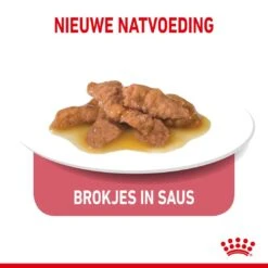 Royal Canin Kattenvoer Indoor 7+ In Gravy 12 X 85 Gr 4 Royal Canin Kattenvoer Indoor 7+ In Gravy 12 X 85 Gr -Dierbenodigdheden Serie Winkel royal canin indoor sterilised 7plus gravy volwassen kat binnenkatten hero kibble