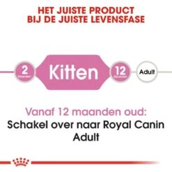 Royal Canin Kattenvoer Kitten 10 Kg -Dierbenodigdheden Serie Winkel royal canin kitten kitten kat groeifase hero image 8