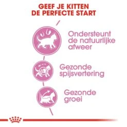 Royal Canin Kattenvoer Kitten 10 Kg -Dierbenodigdheden Serie Winkel royal canin kitten kitten kat groeifase hero usp