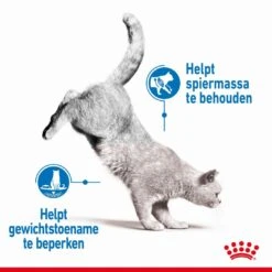 Royal Canin Kattenvoer Light Weight Care 8 Kg -Dierbenodigdheden Serie Winkel royal canin light weight care volwassen kat preventie overgewicht hero image 8
