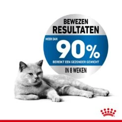 Royal Canin Kattenvoer Light Weight Care 8 Kg -Dierbenodigdheden Serie Winkel royal canin light weight care volwassen kat preventie overgewicht hero usp