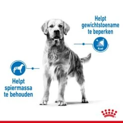 Royal Canin Hondenvoer Light Weight Care Medium 3 Kg -Dierbenodigdheden Serie Winkel royal canin medium light weight care volwassen hond gewicht middelgrote hondenrassen hero image 8
