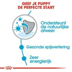 Royal Canin Hondenvoer Mini Puppy 8 Kg -Dierbenodigdheden Serie Winkel royal canin mini puppy pup hond kleine hondenrassen hero usp