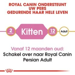 Royal Canin Kattenvoer Persian Kitten 10 Kg 5 Royal Canin Kattenvoer Persian Kitten 10 Kg -Dierbenodigdheden Serie Winkel royal canin persian kitten kitten kat pers hero image 8