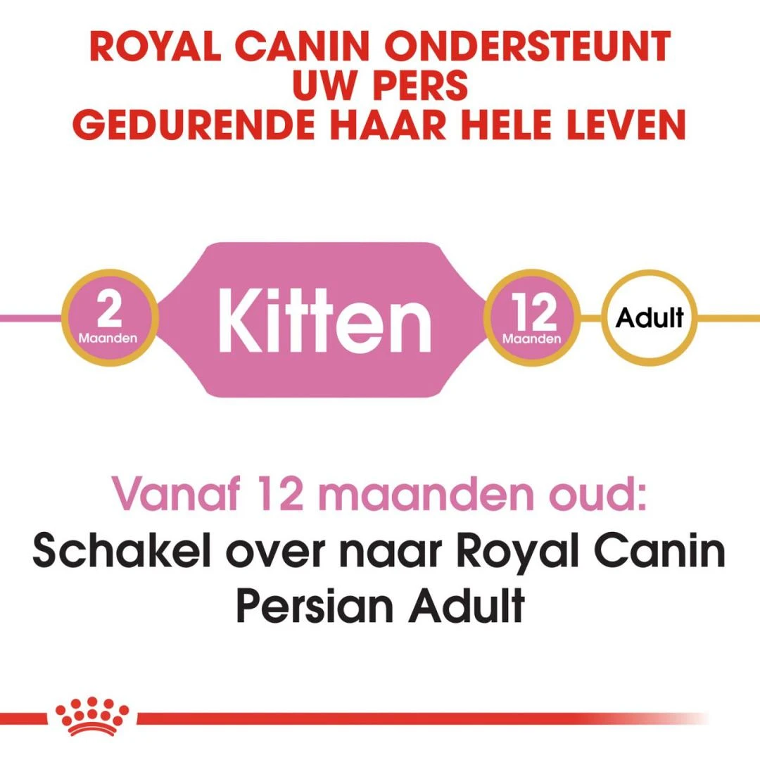 Royal Canin kattenvoer Persian Kitten 10 kg Royal Canin Kattenvoer Persian Kitten 10 Kg -Dierbenodigdheden Serie Winkel royal canin persian kitten kitten kat pers hero image 8