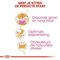Royal Canin Kattenvoer Persian Kitten 10 Kg 4 Royal Canin Kattenvoer Persian Kitten 10 Kg -Dierbenodigdheden Serie Winkel royal canin persian kitten kitten kat pers hero usp