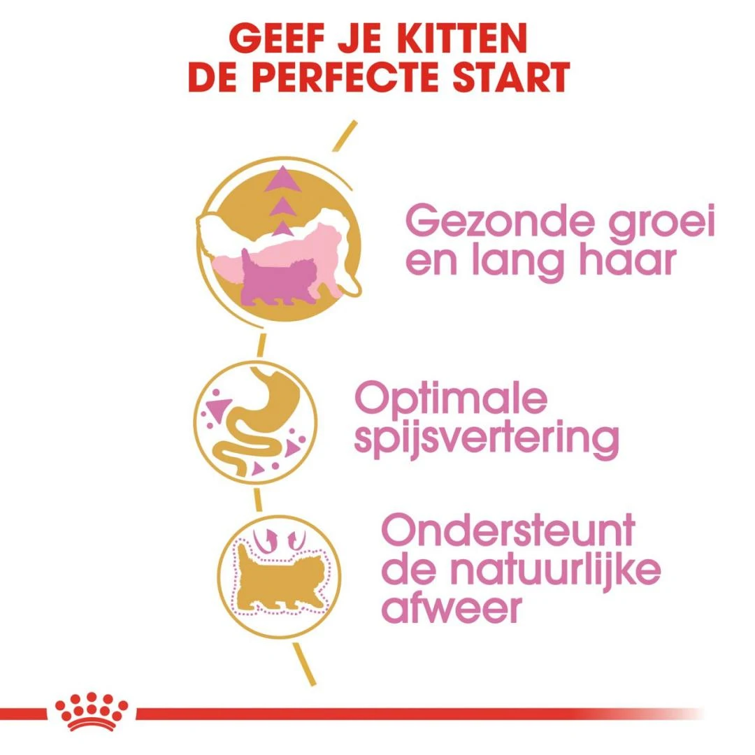 Royal Canin kattenvoer Persian Kitten 10 kg Royal Canin Kattenvoer Persian Kitten 10 Kg -Dierbenodigdheden Serie Winkel royal canin persian kitten kitten kat pers hero usp